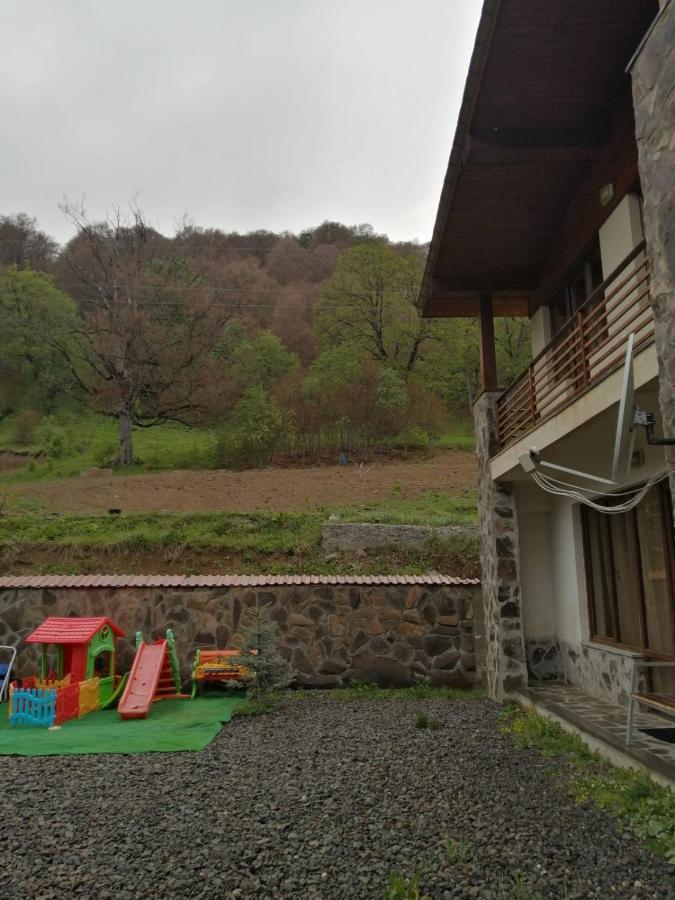 Konstantine'S Chalet Bakuriani Exterior photo