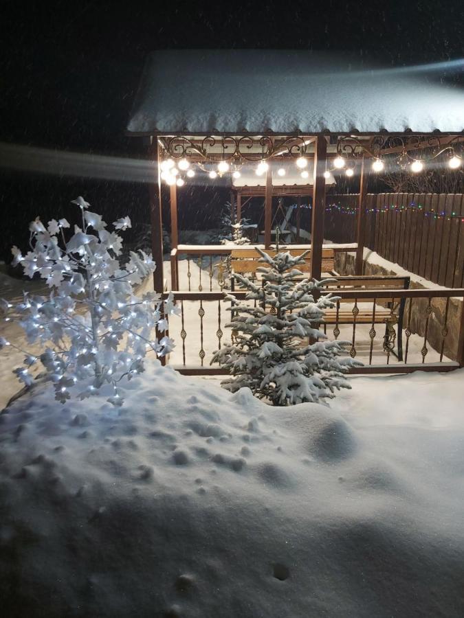 Konstantine'S Chalet Bakuriani Exterior photo