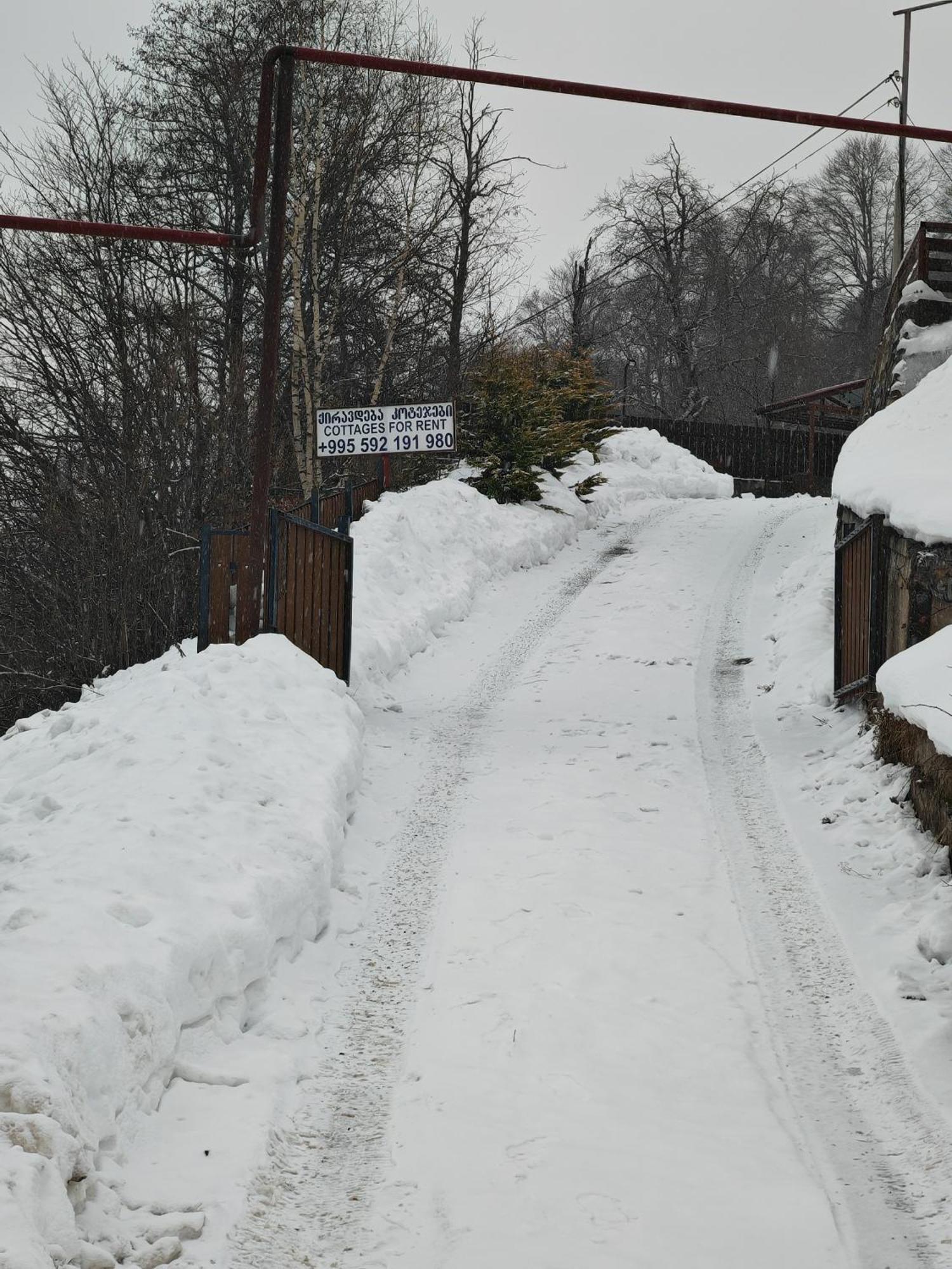 Konstantine'S Chalet Bakuriani Exterior photo
