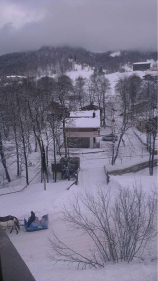 Konstantine'S Chalet Bakuriani Exterior photo